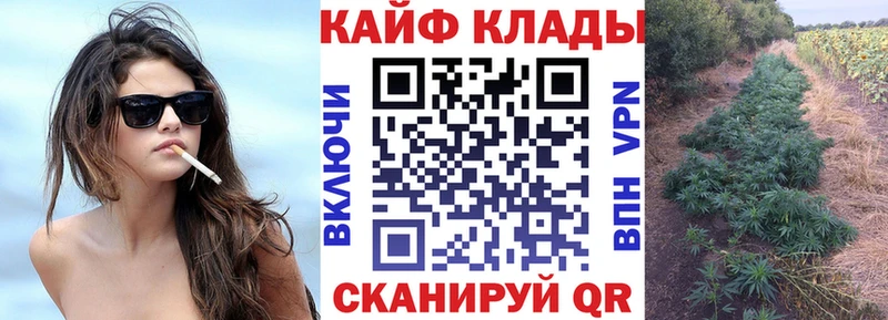 Магазины продажи наркотиков Муром ГАШИШ  Кокаин  MEGA сайт  Галлюциногенные грибы  Каннабис  A PVP  АМФ  Мефедрон 