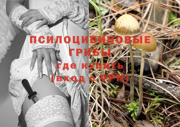Альфа ПВП Алзамай