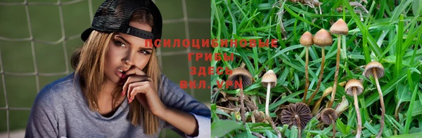 бошки Гусев