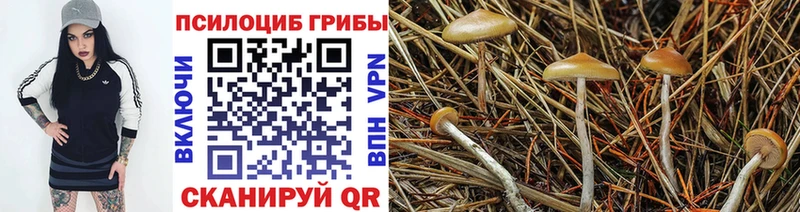 Псилоцибиновые грибы прущие грибы Муром