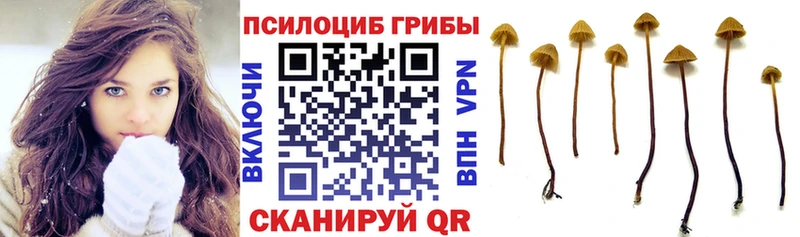 ссылка на мегу как зайти  Муром  дарк нет какой сайт  Галлюциногенные грибы мухоморы 